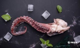 章鱼血是蓝色吗 章鱼血是蓝色吗